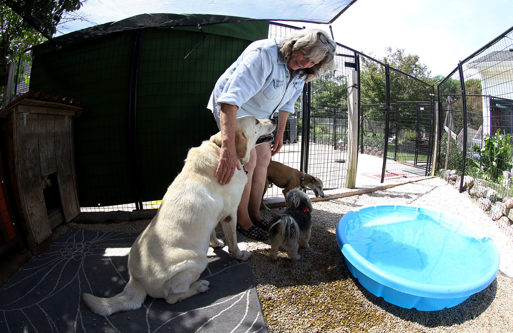 060518-qct-animal-sanctuary-005